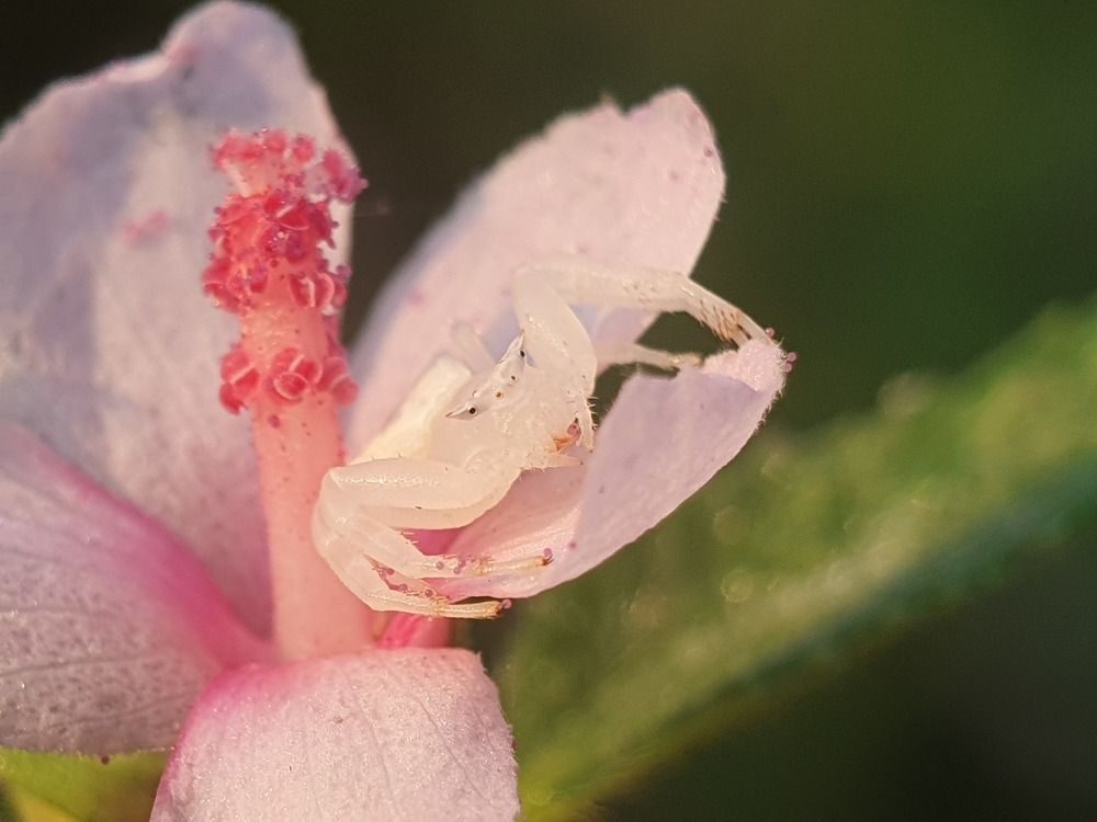 Photograph by Thein Win Tun