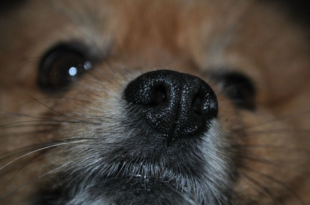 Фотография автора Виктория