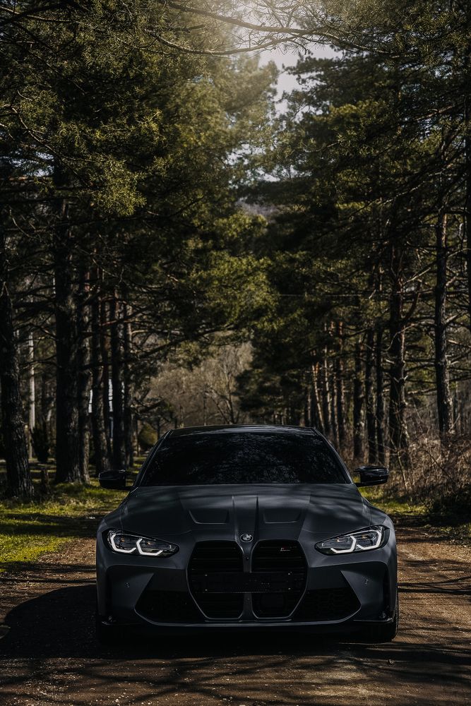 Фотография автора Alena