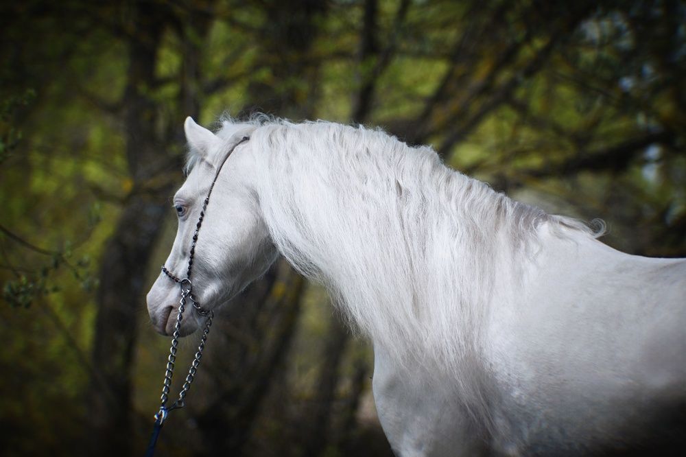 Фотография автора Анюта Тагаева