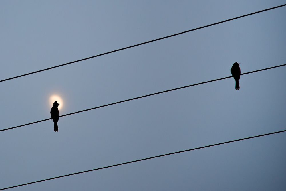 Photograph by Chetan Verma