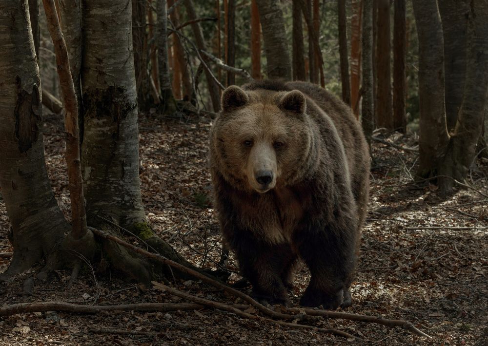 Photograph by Taтьяна Войлокова