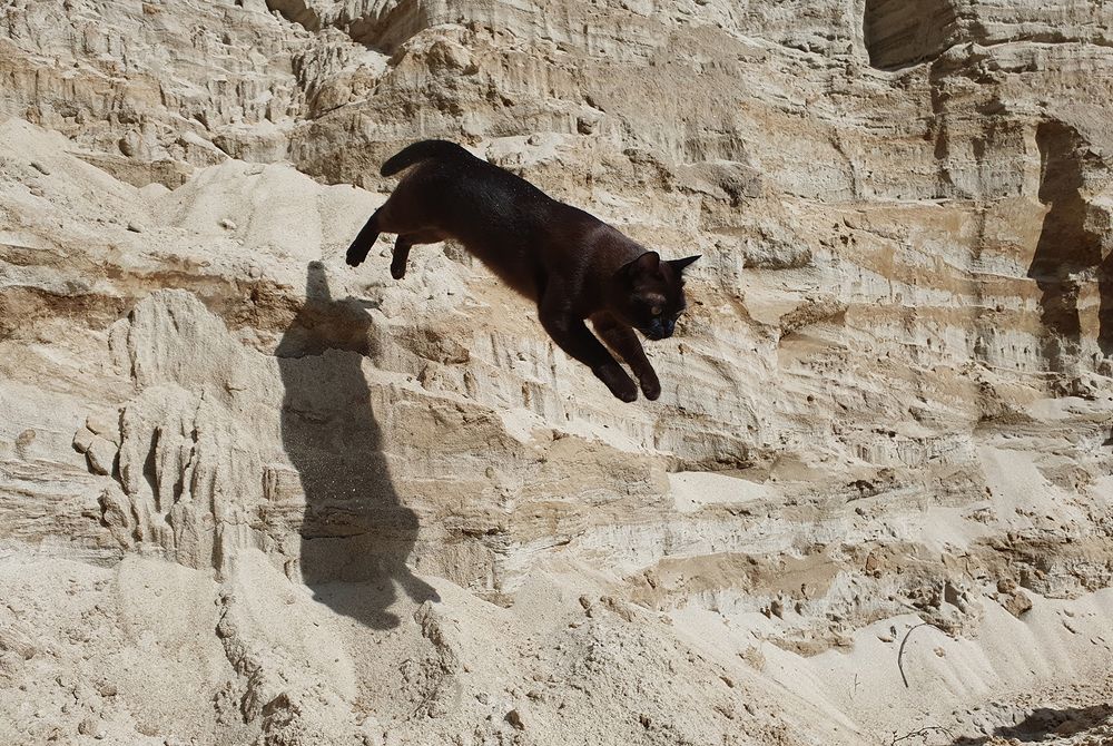 Прыжок...полет!