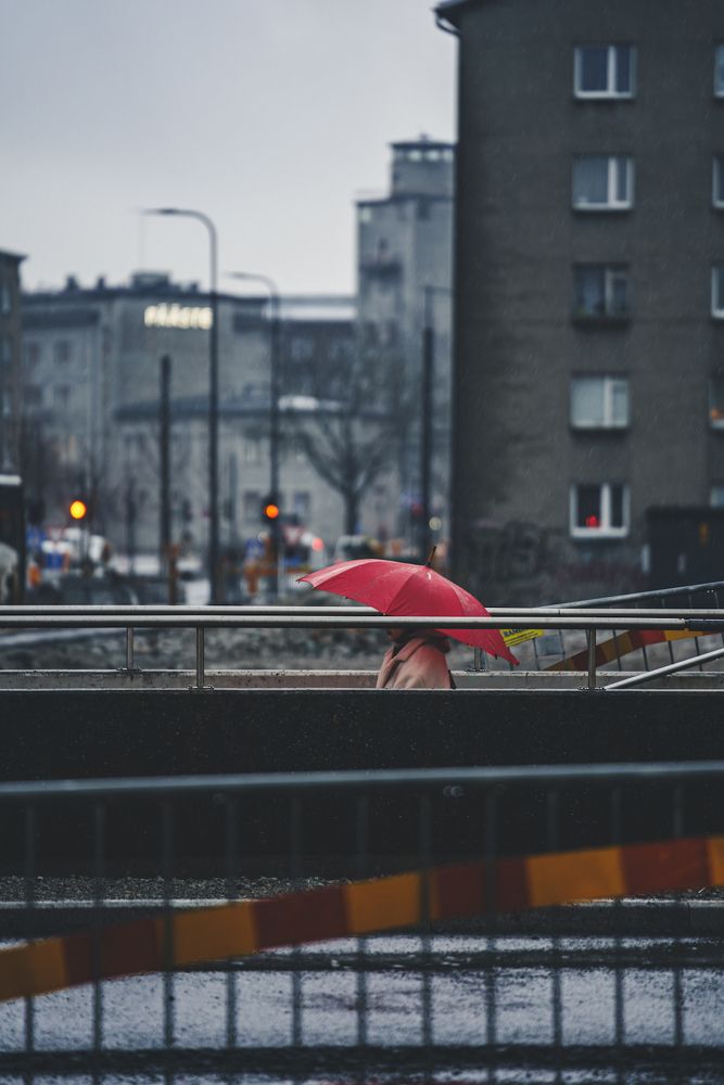 Photograph by Nikolay Surovtsev