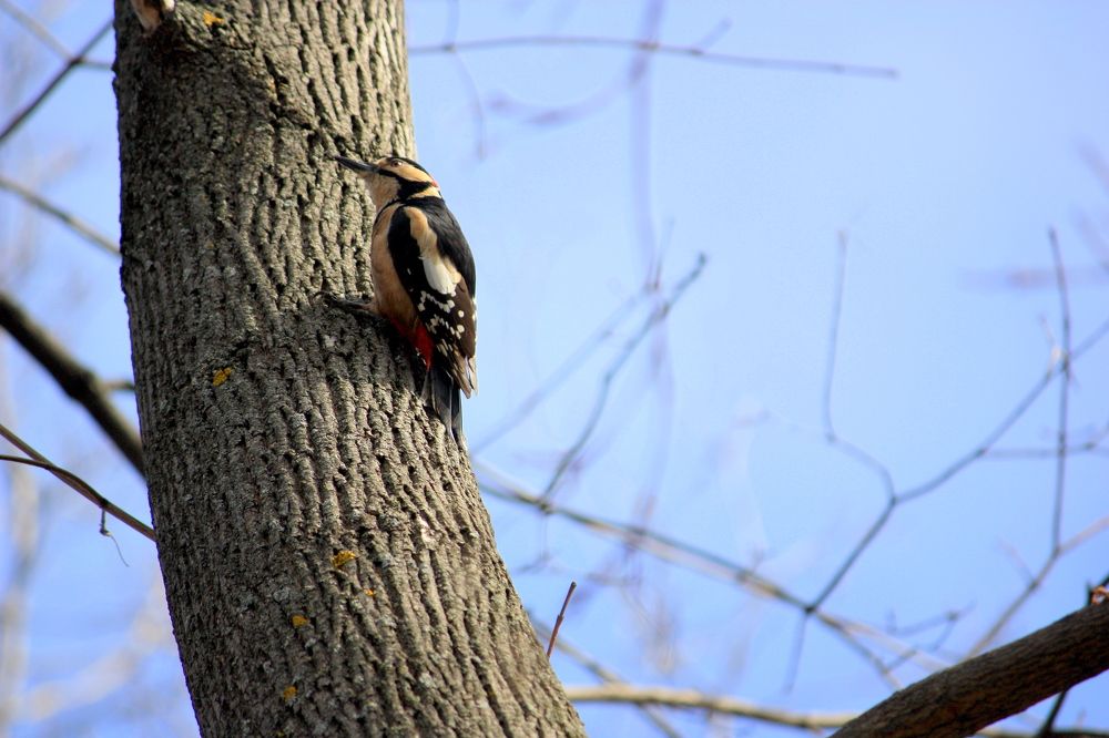 Photograph by Ольга Павлова