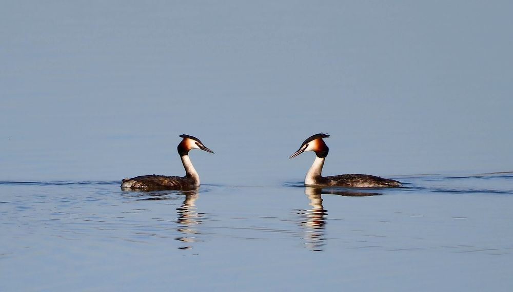Photograph by Николай Абакумов