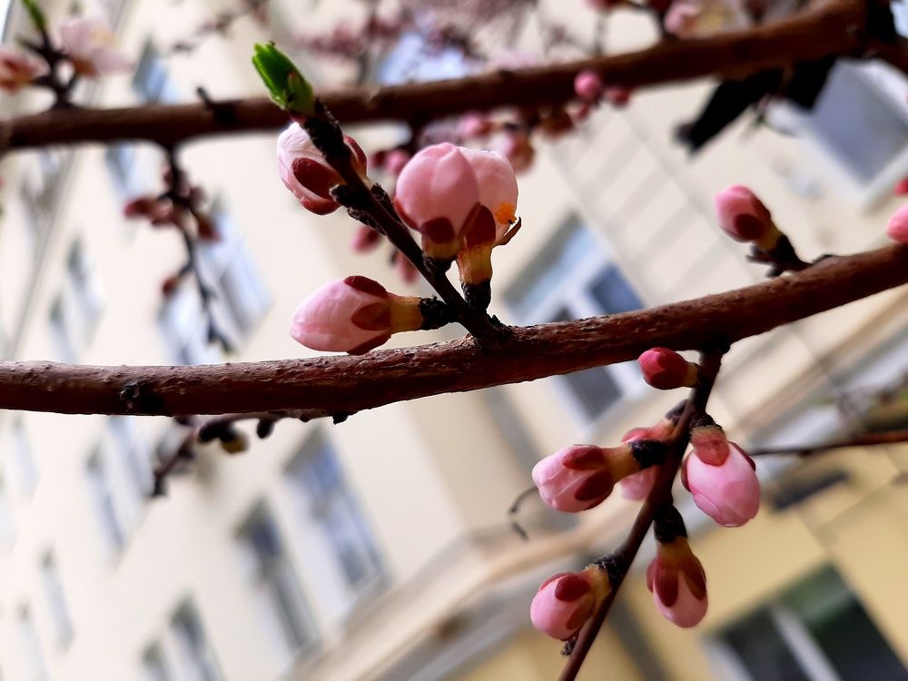 Photograph by Ольга Павлова