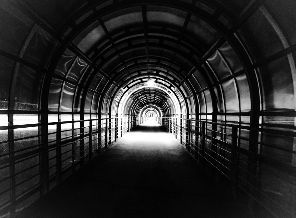 Photograph by Третьякова Анастасия