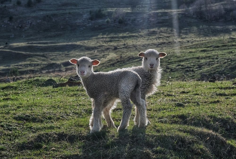 Photograph by Natalia Bolotenkova