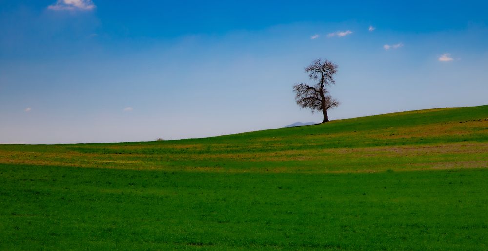 Фотография автора ehsan kaviani