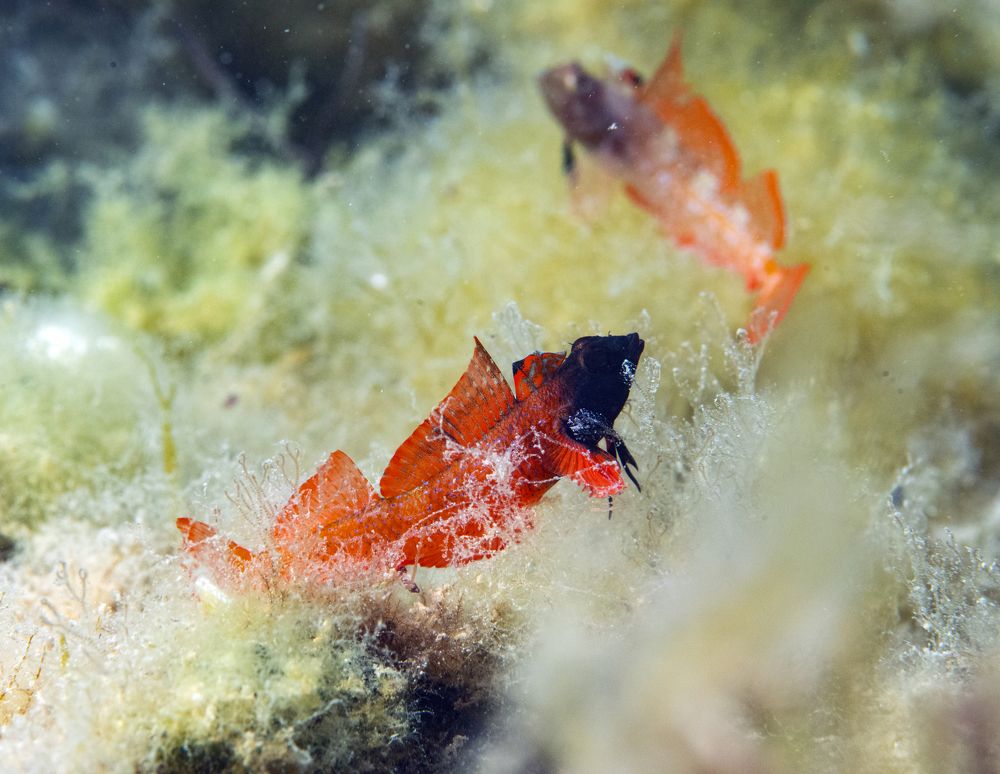 Photograph by Евгения Карпова