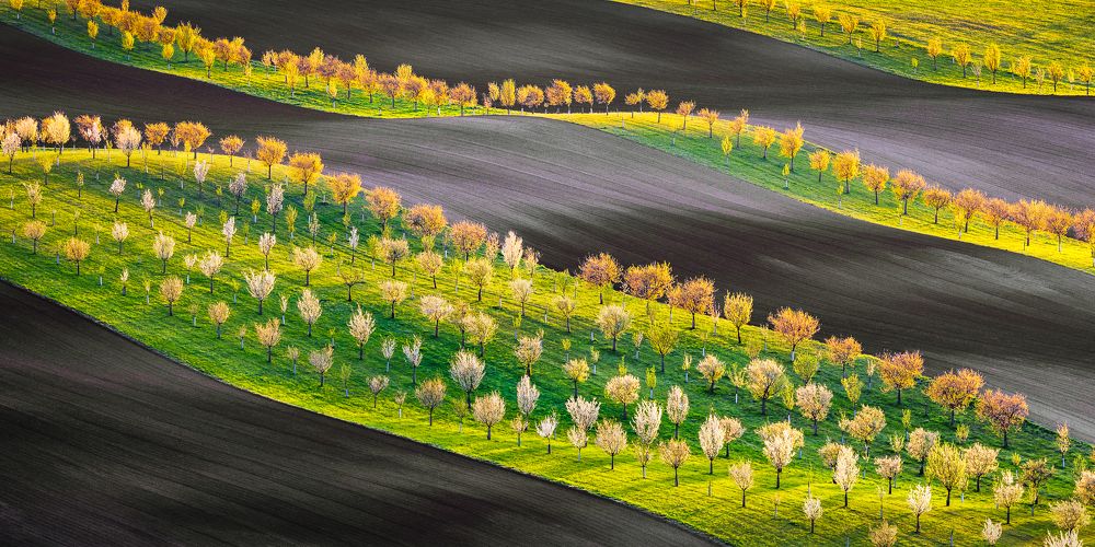 Biobelts Šardice South Moravia