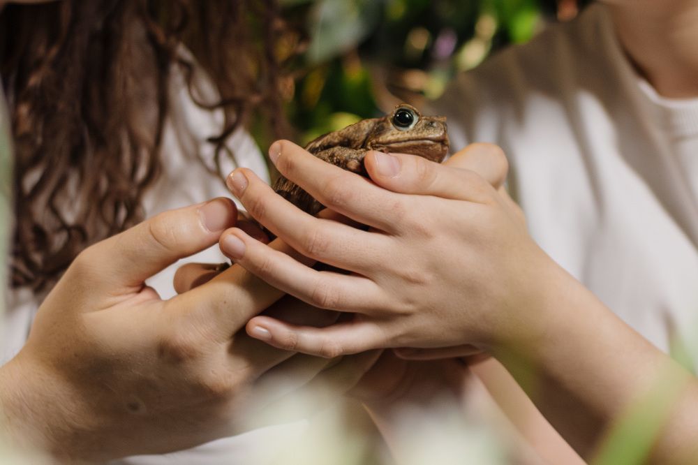 Фотография автора Алена Скокова