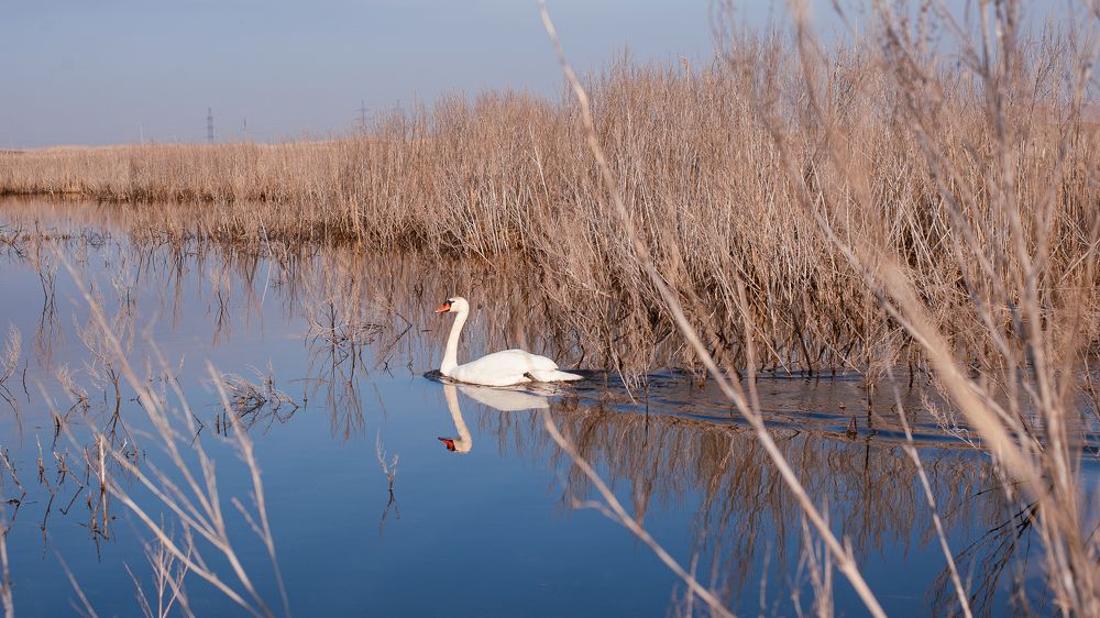 Фотография автора Елена Ефименко