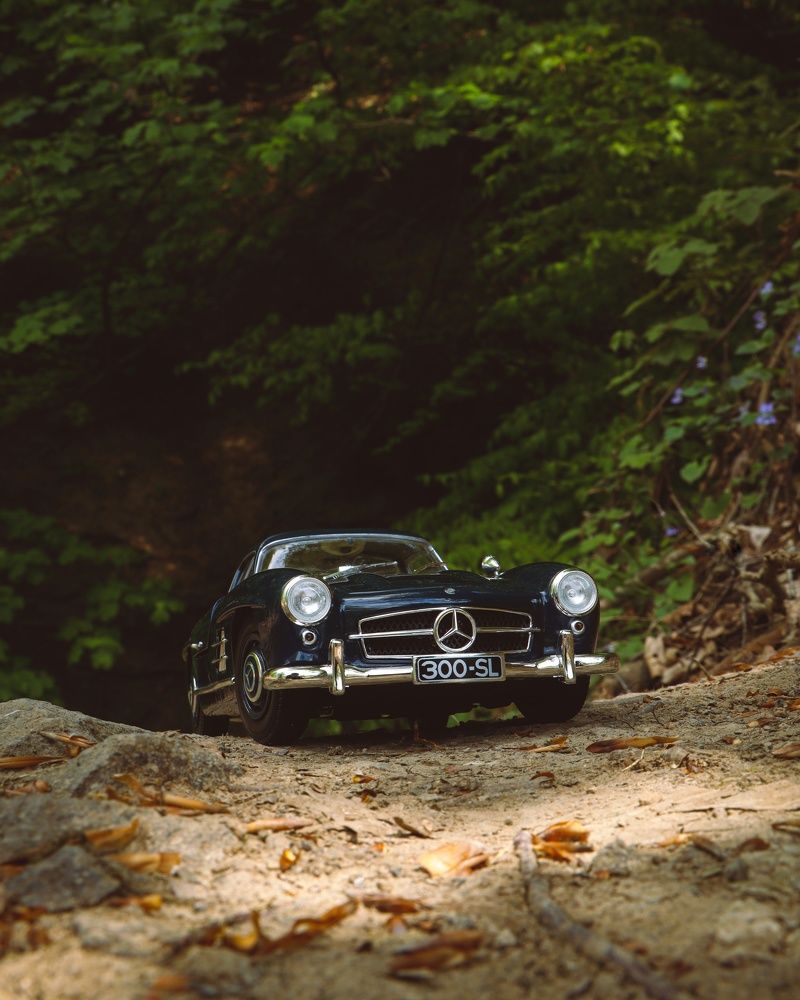 Photograph by parham lotfinejad