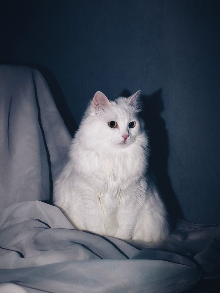 Фотография автора 