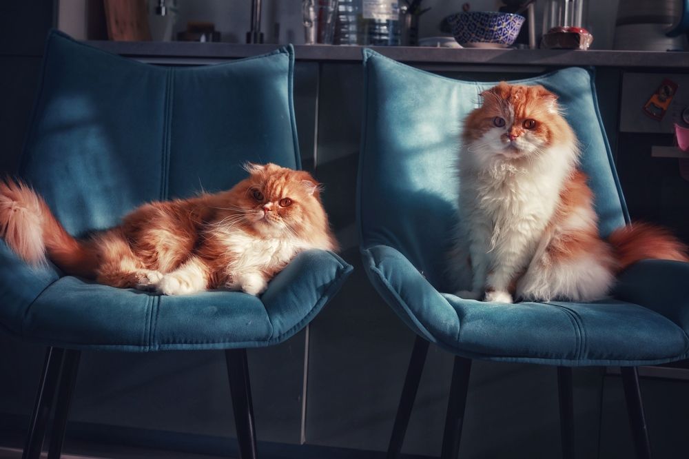 Photograph by Ольга Веретенникова