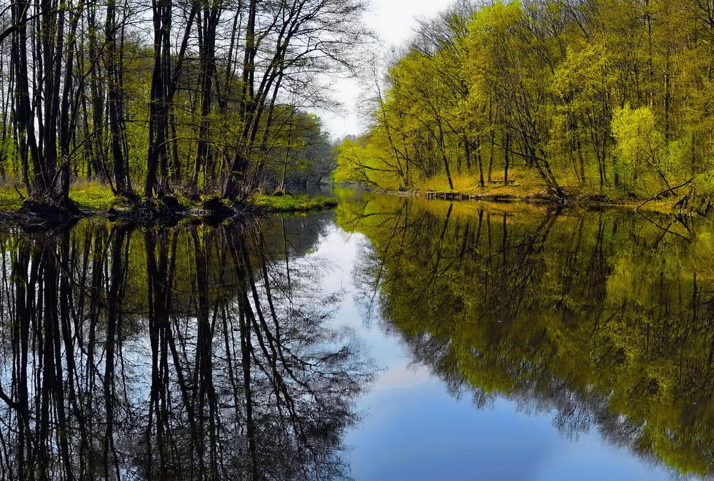 Фотография автора ВЛАДИМИР Тертышник