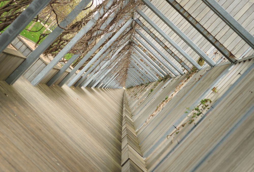 Фотография автора Анастасия Лапта