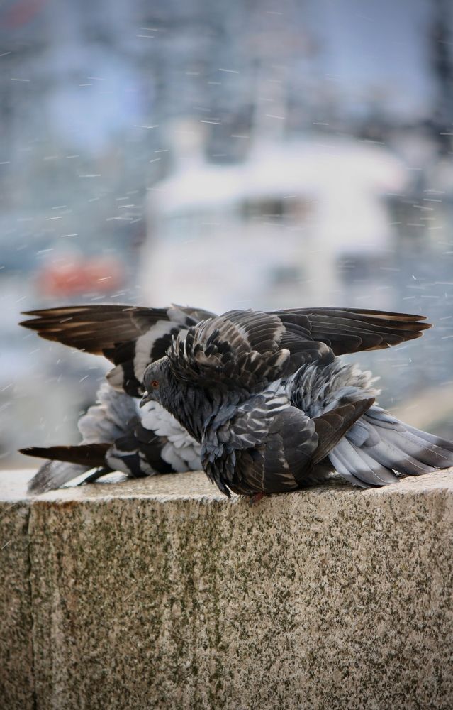 Photograph by Михаил Некрасов