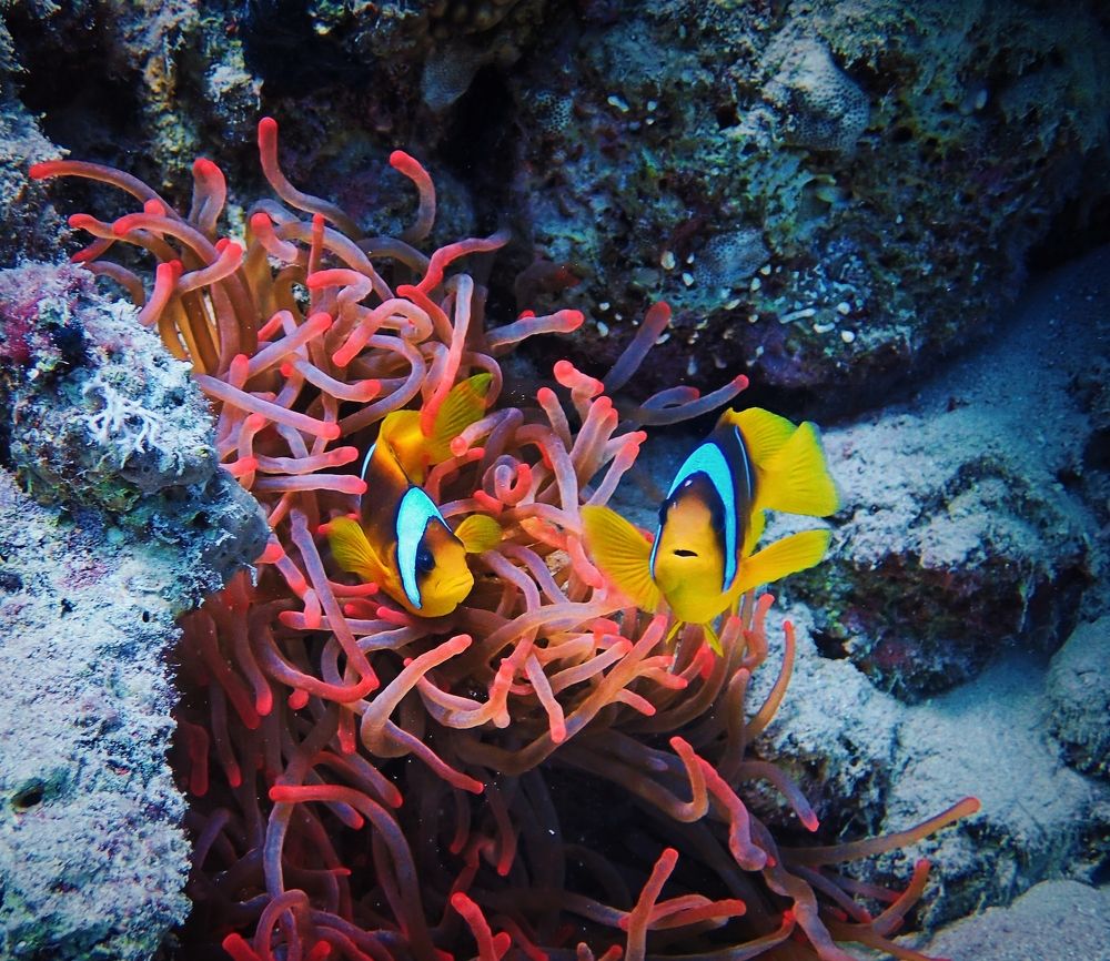 Photograph by Кирилл Леднев