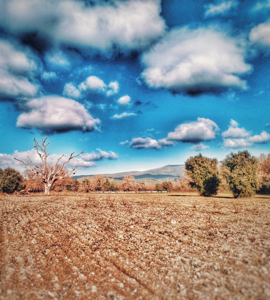 Photo #10547021