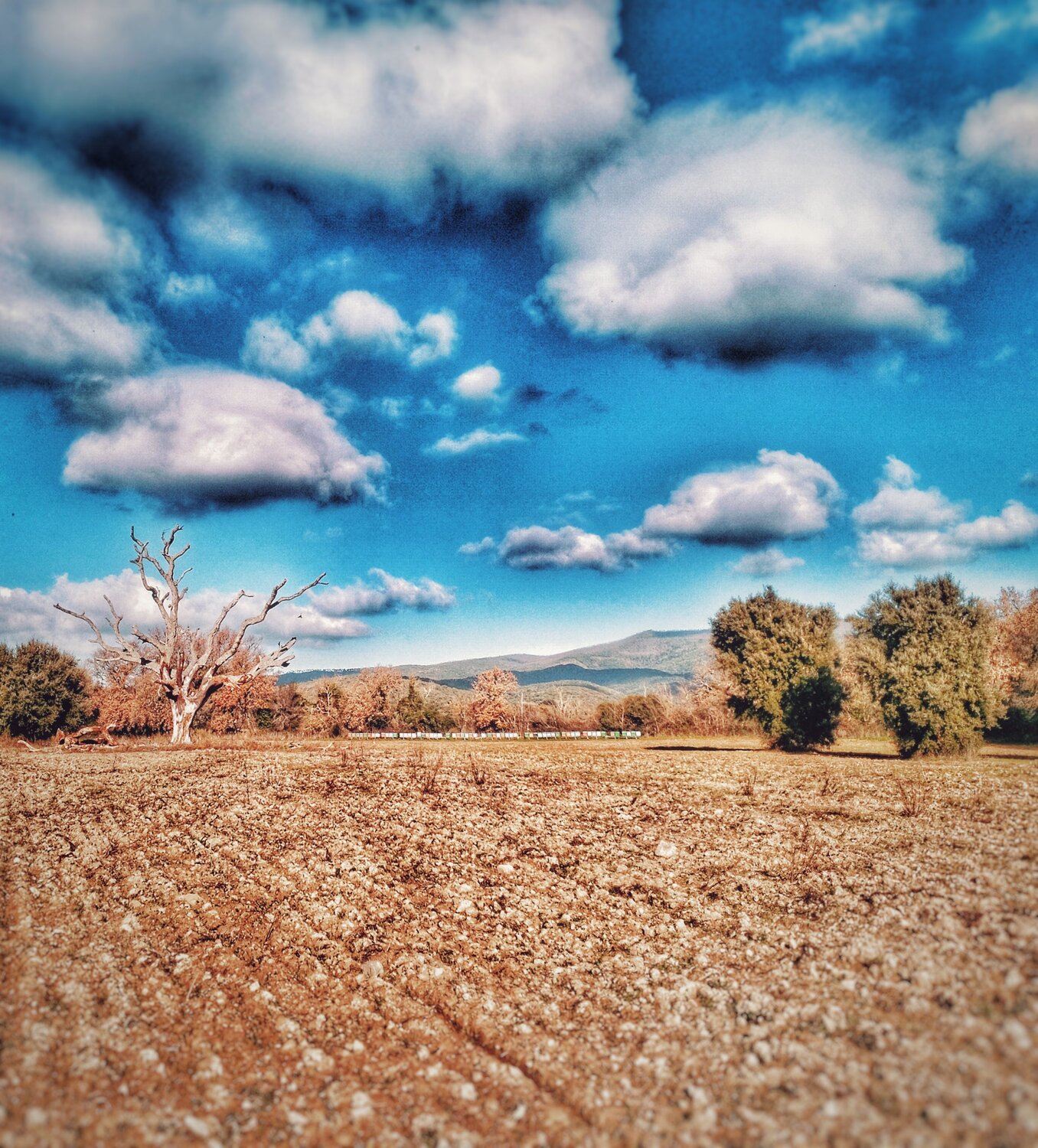 Photo #10547021