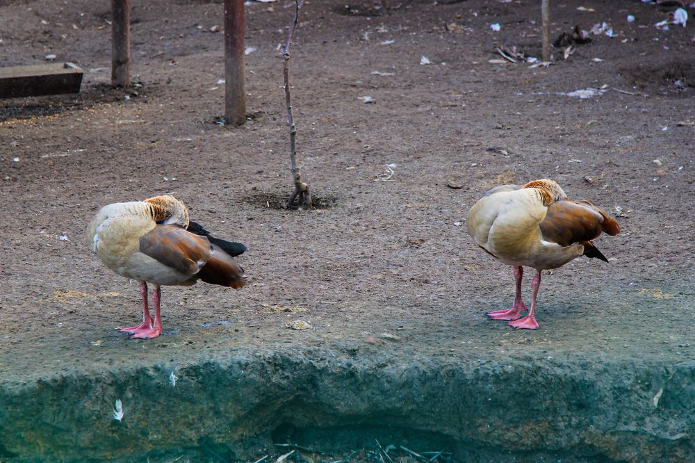 Photograph by Anton Hantov