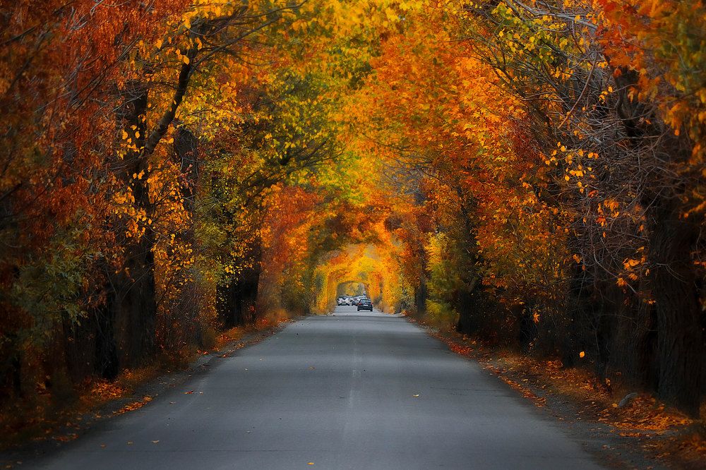 Photograph by somayeh moharami