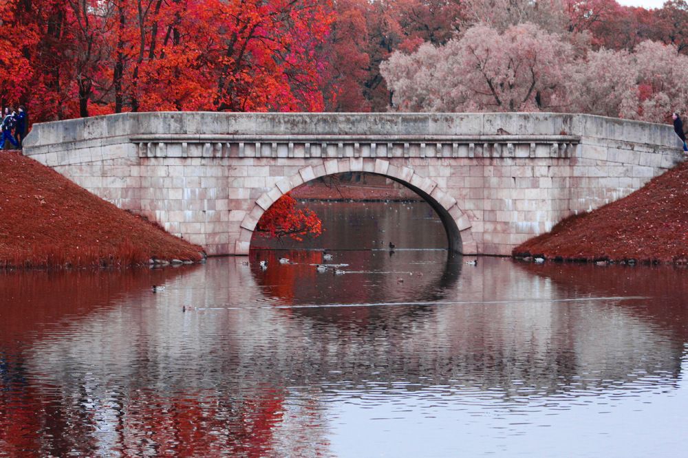 Photograph by Сергей Кутьин