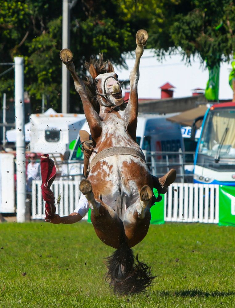 Photograph by Alejandro Prieto