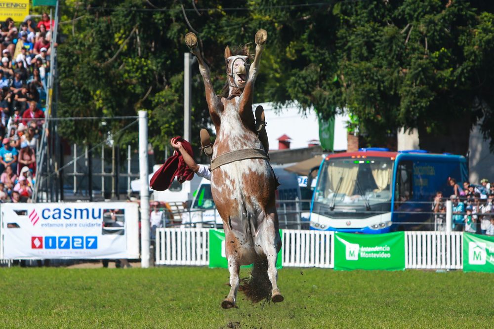 Photograph by Alejandro Prieto