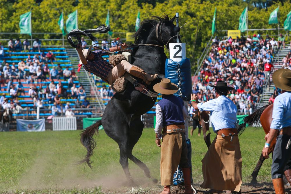 Photograph by Alejandro Prieto