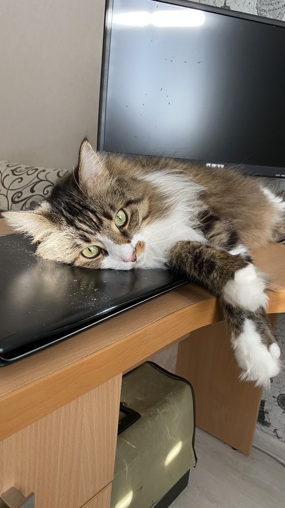 Photograph by Антонина Кузнецова