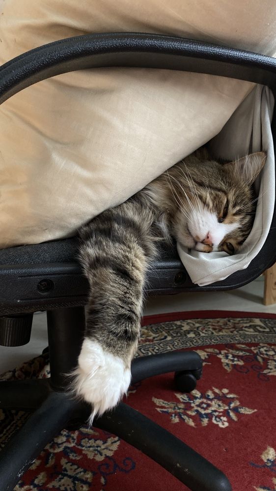 Photograph by Антонина Кузнецова