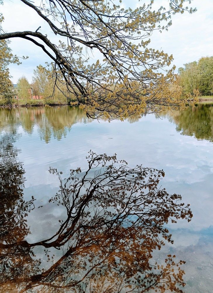 Photograph by Наталья