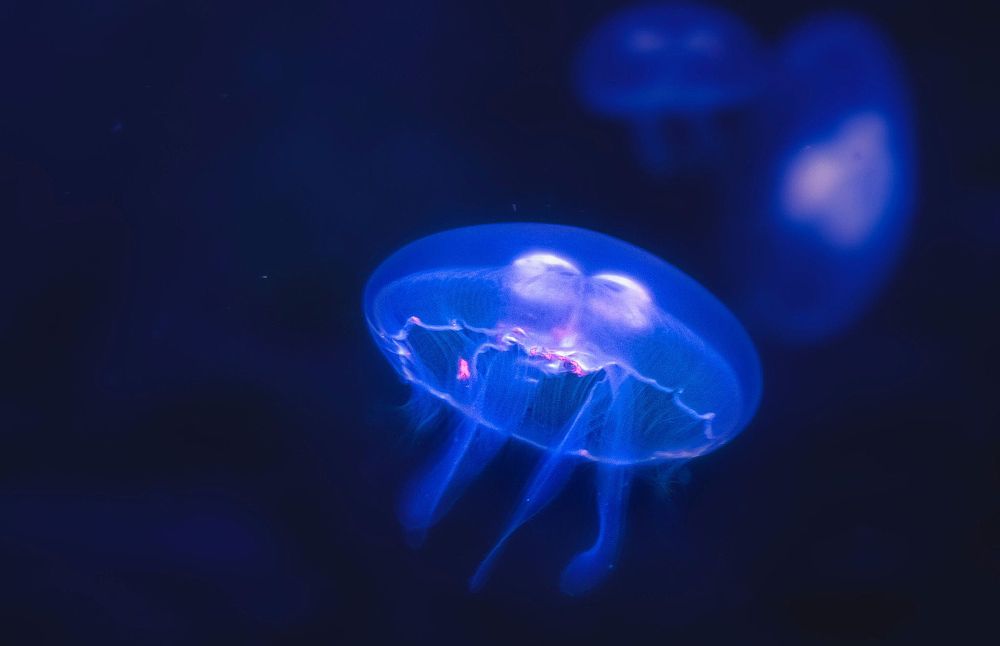 Photograph by Олег Белан