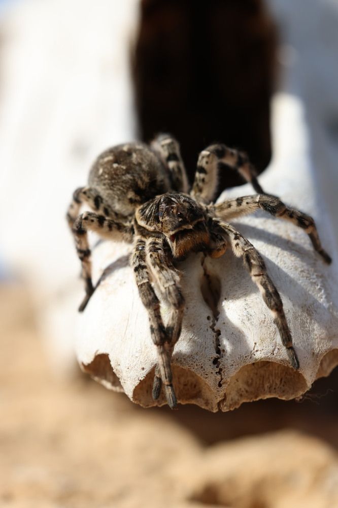 Photograph by Ольга Одаренко