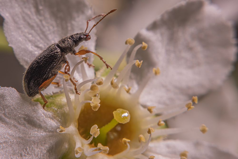 Photograph by Екатерина Бурикова