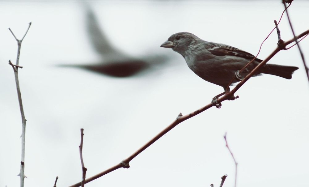 Photograph by Elitza Petkova