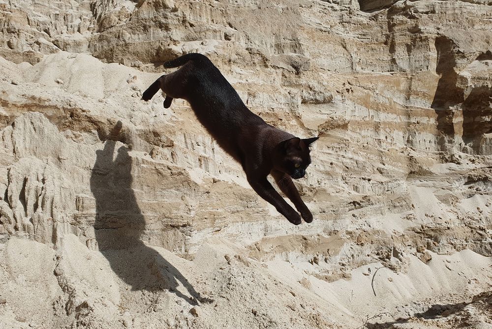 Фотография автора Надежда Лисицына