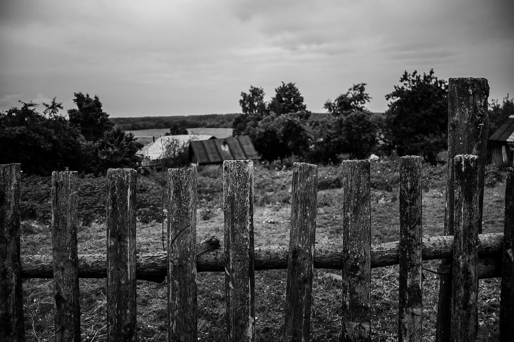 Photograph by Алексей Трифонов