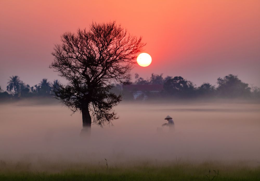 Photograph by Thanh Nhàn