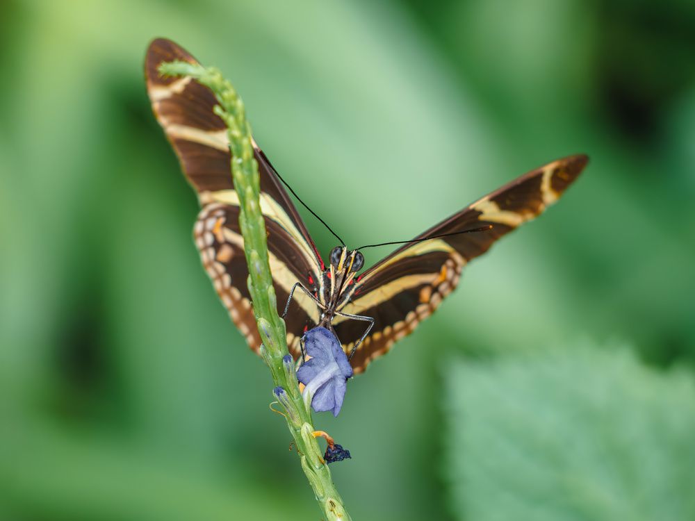 Photograph by Irina Protchenko