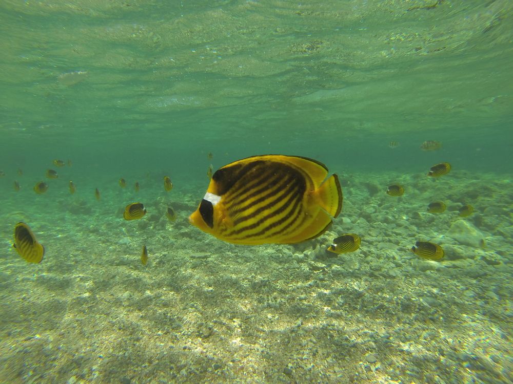 Photograph by Дмитрий Юдин