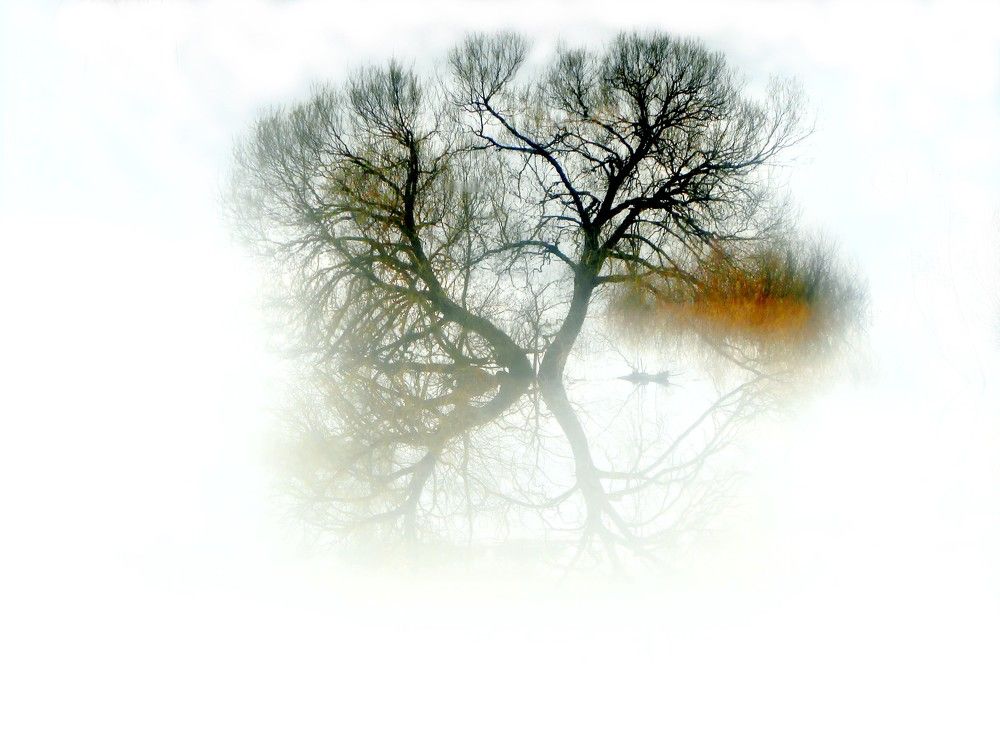 Photograph by Александр Поздняков