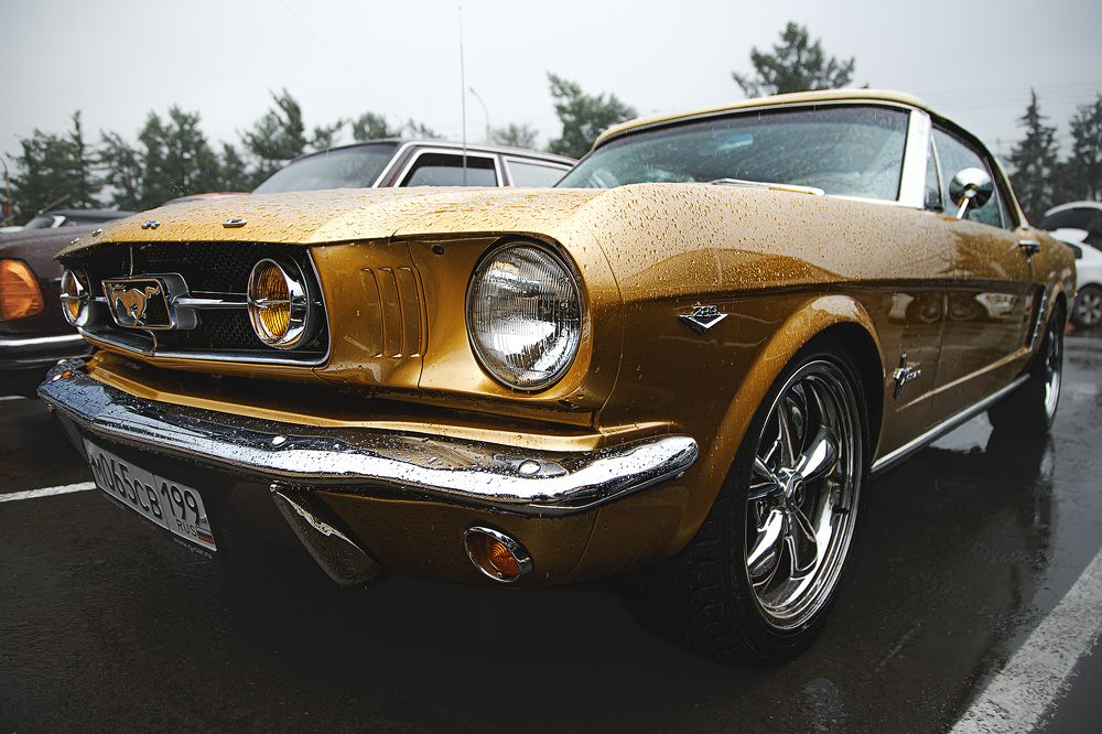 Photograph by Макаров Роман