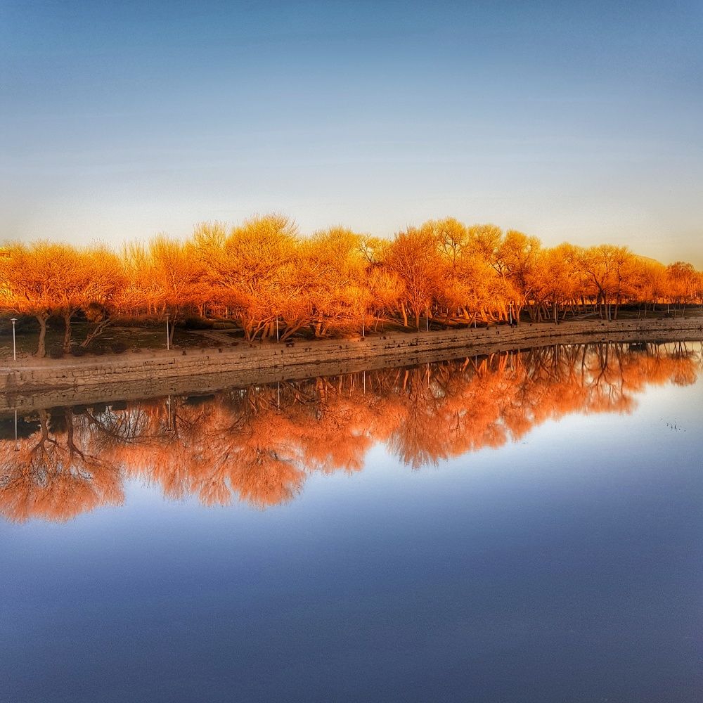 Photograph by Zahra HassanPour