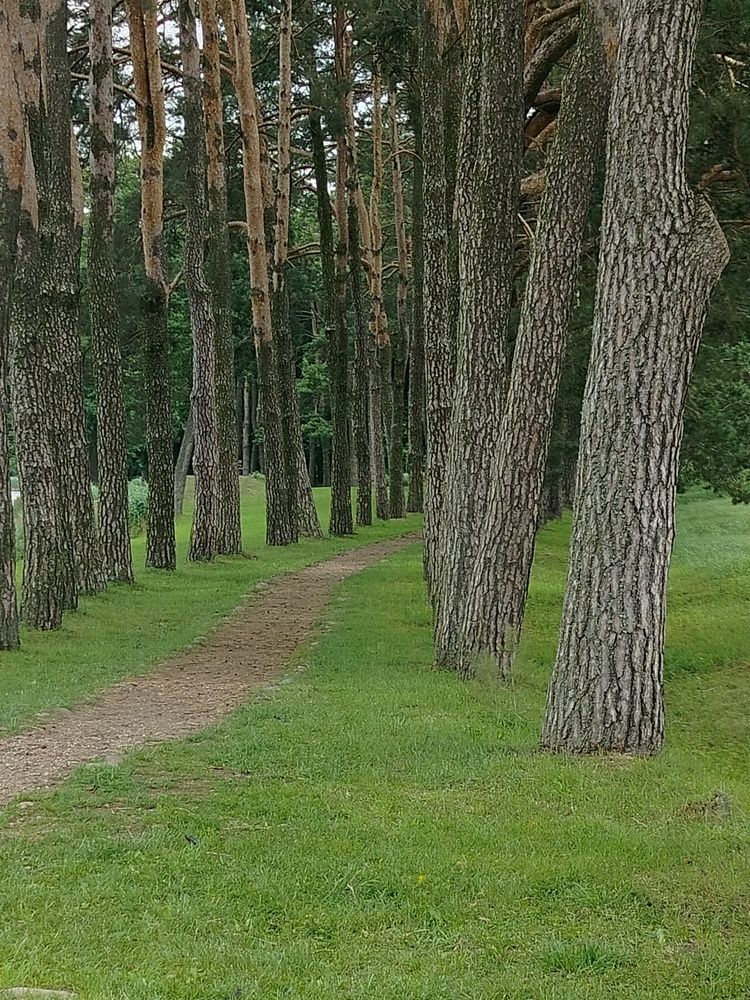 Фотография автора Наталья Драгун