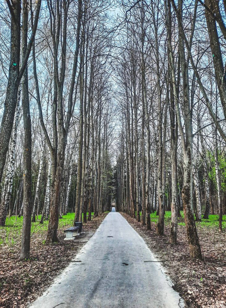 Photograph by Anna Prohorova
